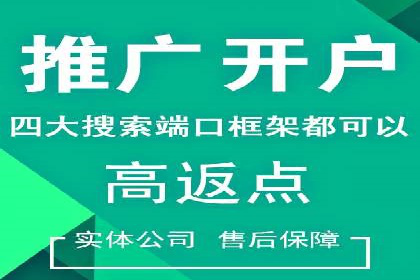 SEO与百度推广结合的营销策略——经典案例解析